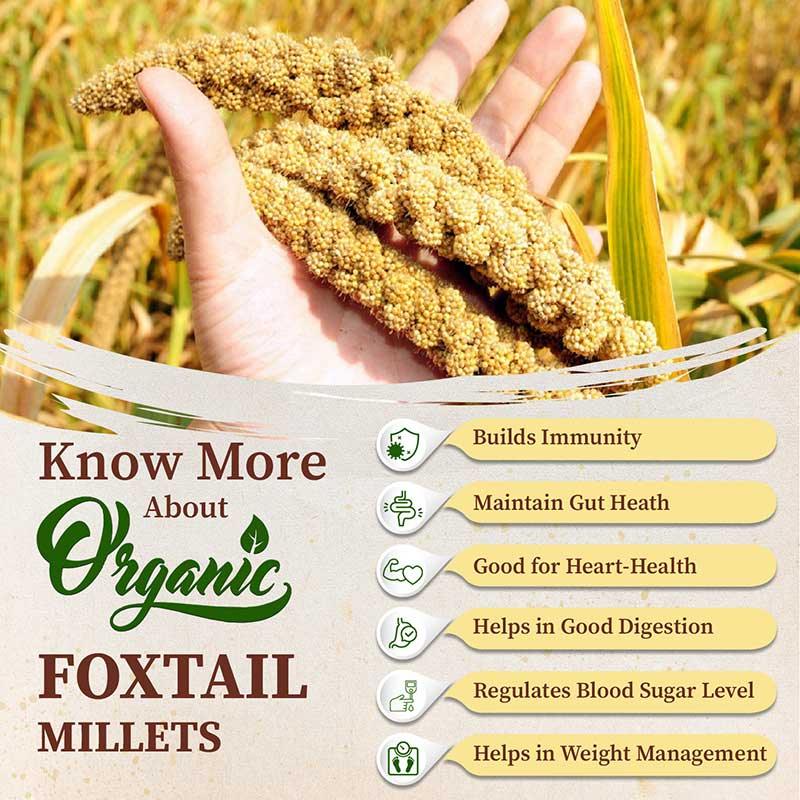 Foxtail millet