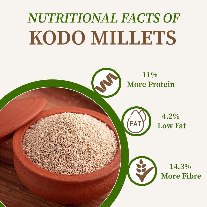 kodo millet grains