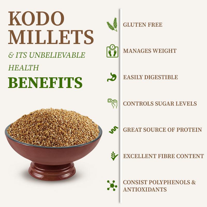 kodo millet grains