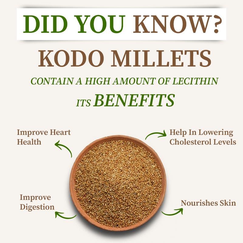 kodo millet grains