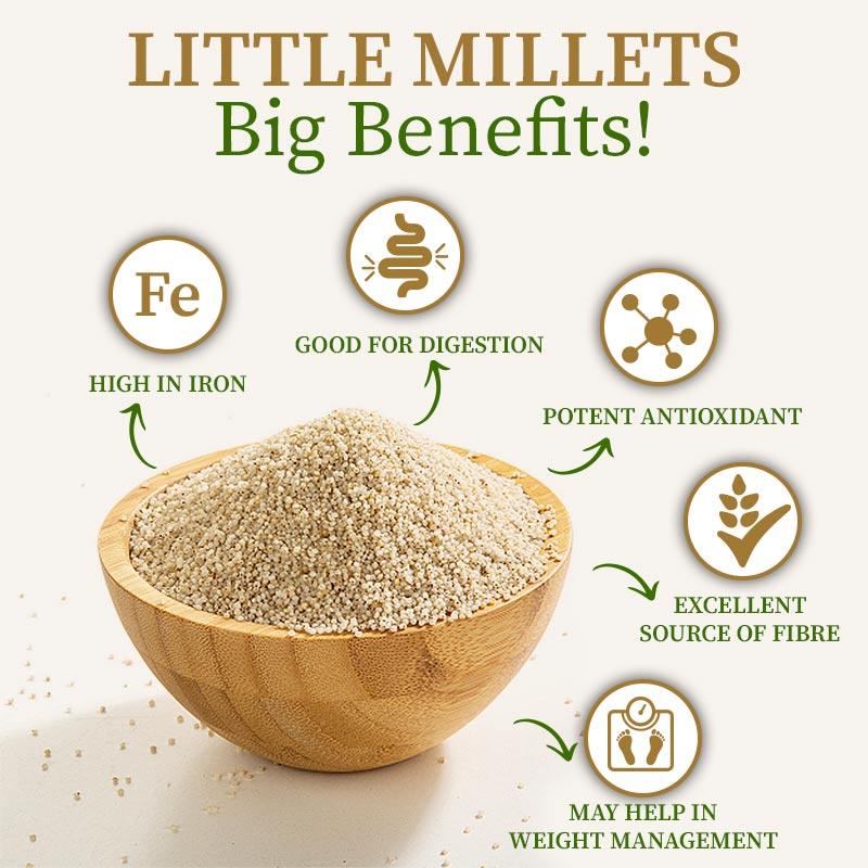 Little Millet Grain
